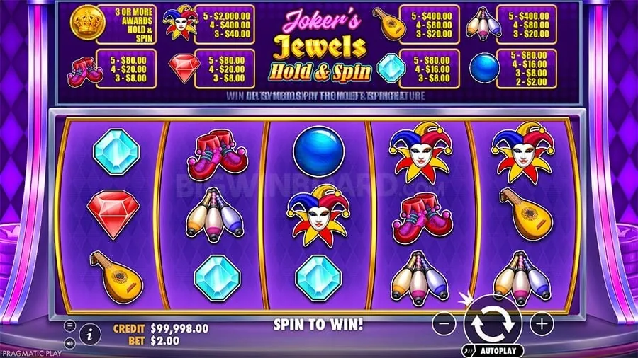 Beginner's Guide to Live Casino